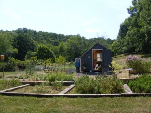 Picture of gardens and shed
