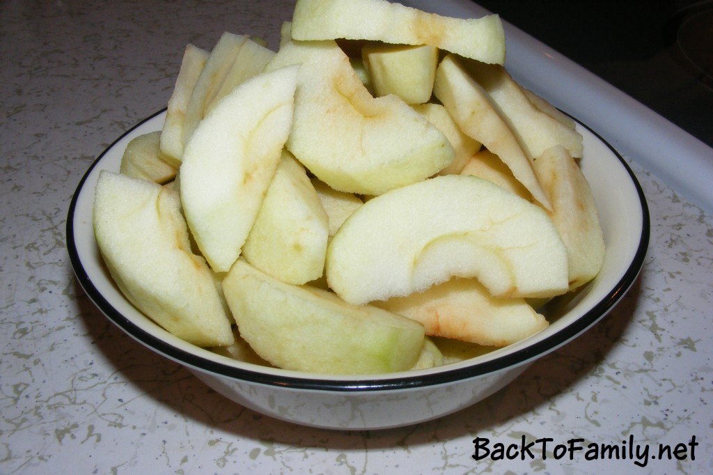 Apple Fritters | BackToFamily.net