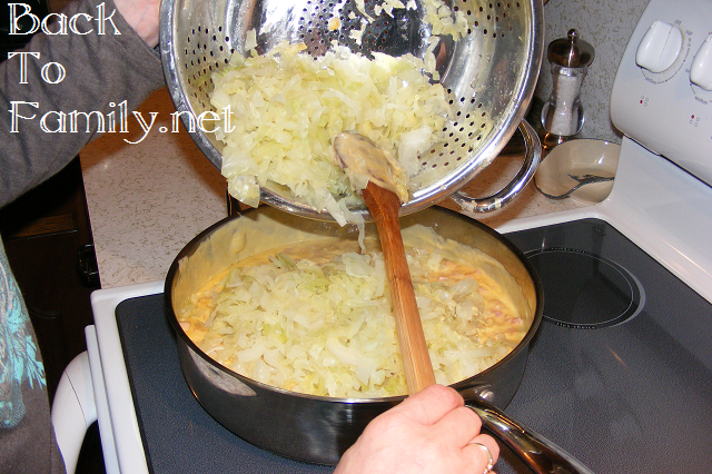 Cheesy Cabbage Casserole~BackToFamily.net