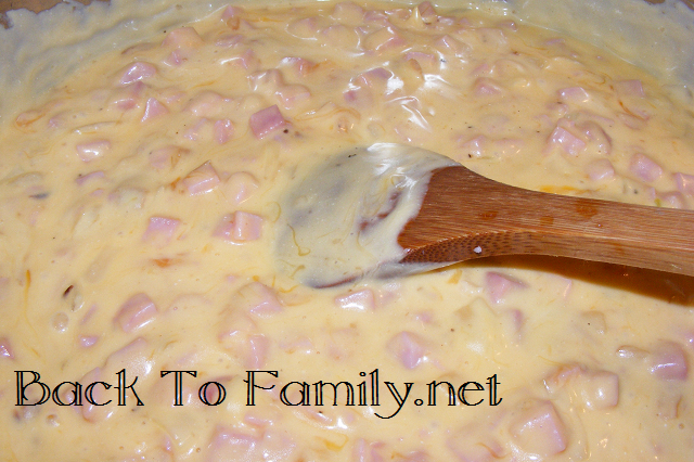 Cheesy Cabbage Casserole~BackToFamily.net