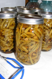 How To Can Green Beans~ backtofamily.net