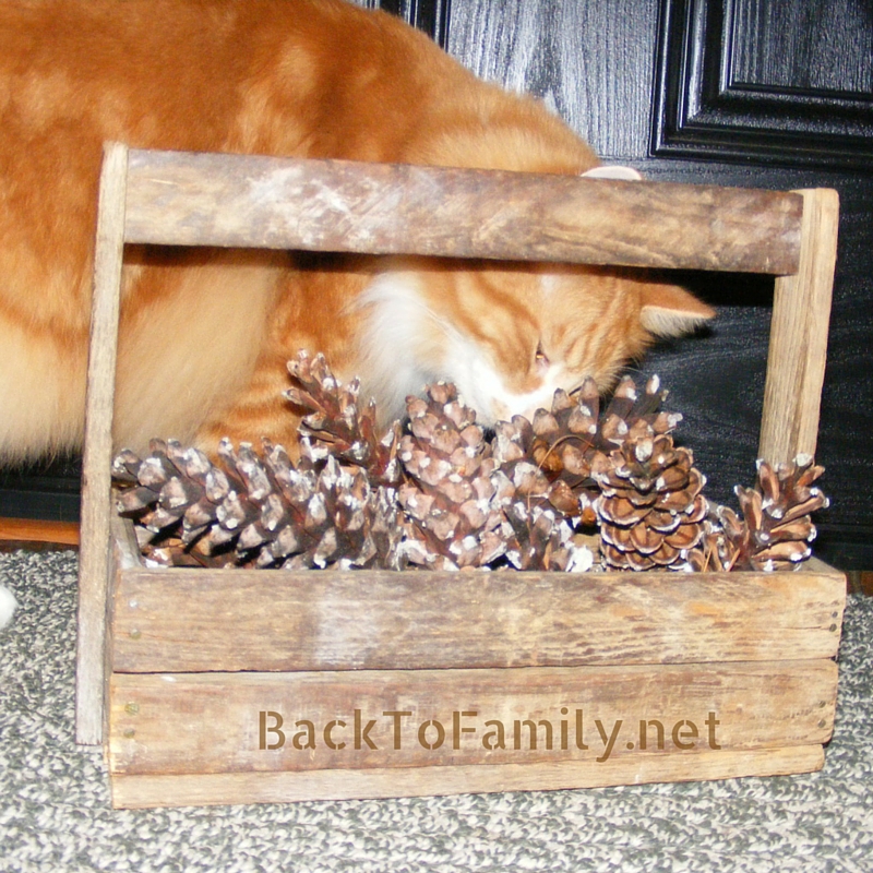 Lavender Scented Pinecones with BackToFamily.net